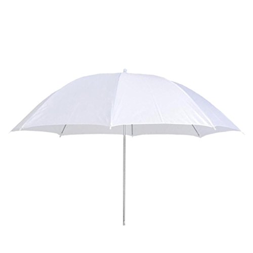 Shiwaki Pʂ33C`ʐ^X^WIBe