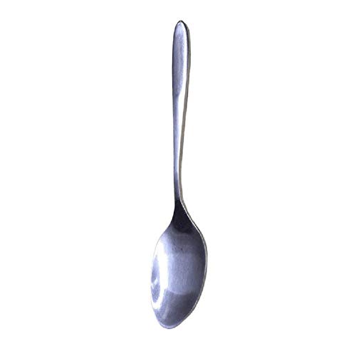 10 PC cuillères à café de cuillère en acier inoxydable Petit Pack Of Ten Restaurant Bar Scoop Kitchen Tools Sets # 3f28 Vaisselle @Y (Color : Silver)