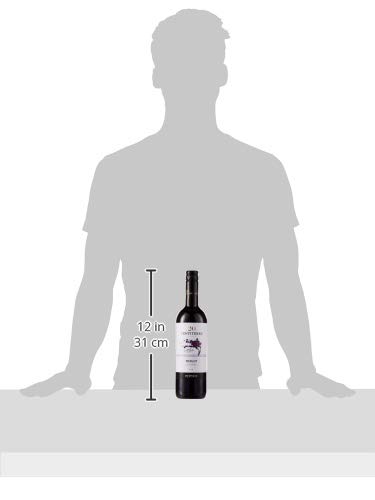 Zonin Ventiterre Merlot Red Wine, 750 ml : Amazon.sg: Grocery