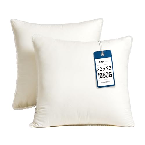 Inserts coussin Awvco 22 x 22 po, ensemble 2 pc, bordure dentelle