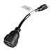 Parkworld 691791 Adapter Cord 15 Amp 5-15P Male to 30 Amp L6-30R Locking Connector Female (ONLY Output 125V 15A)