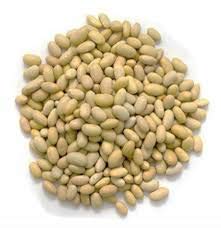 Frijol canario, frijoles peruanos Frijoles Aka Mayocoba, Peruano Beans- 50 semillas orgánicas