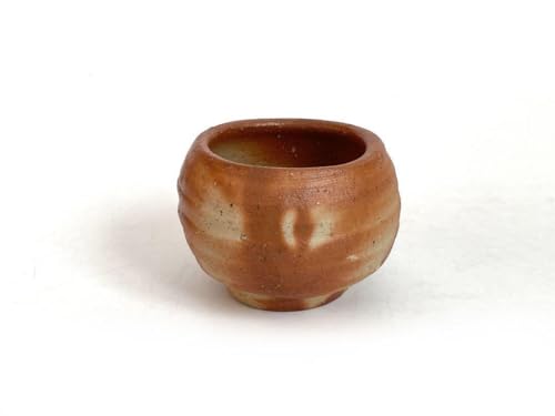 Pottery Artist Arikuni Kaneshige Bizen Hidasaki Sake Cup Guinomi Sake Cup Father Mt