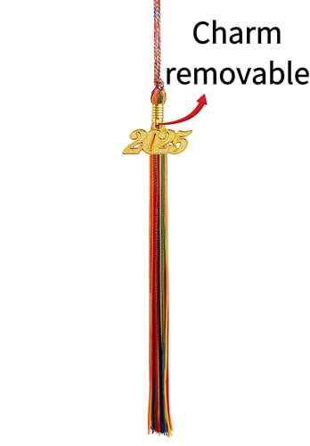 Image of Graduation Tassel 2025,Rainbow Tassel 2025