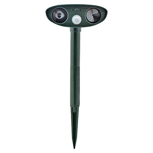 ǌELގ EL悯 ˂݌ gފ \[[ lR悯 ǂ \[[[d {戵t