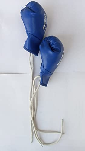 Image of PROSPO Boxing Glove Key Ring & Hanging Accessories