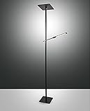 Fabas Luce