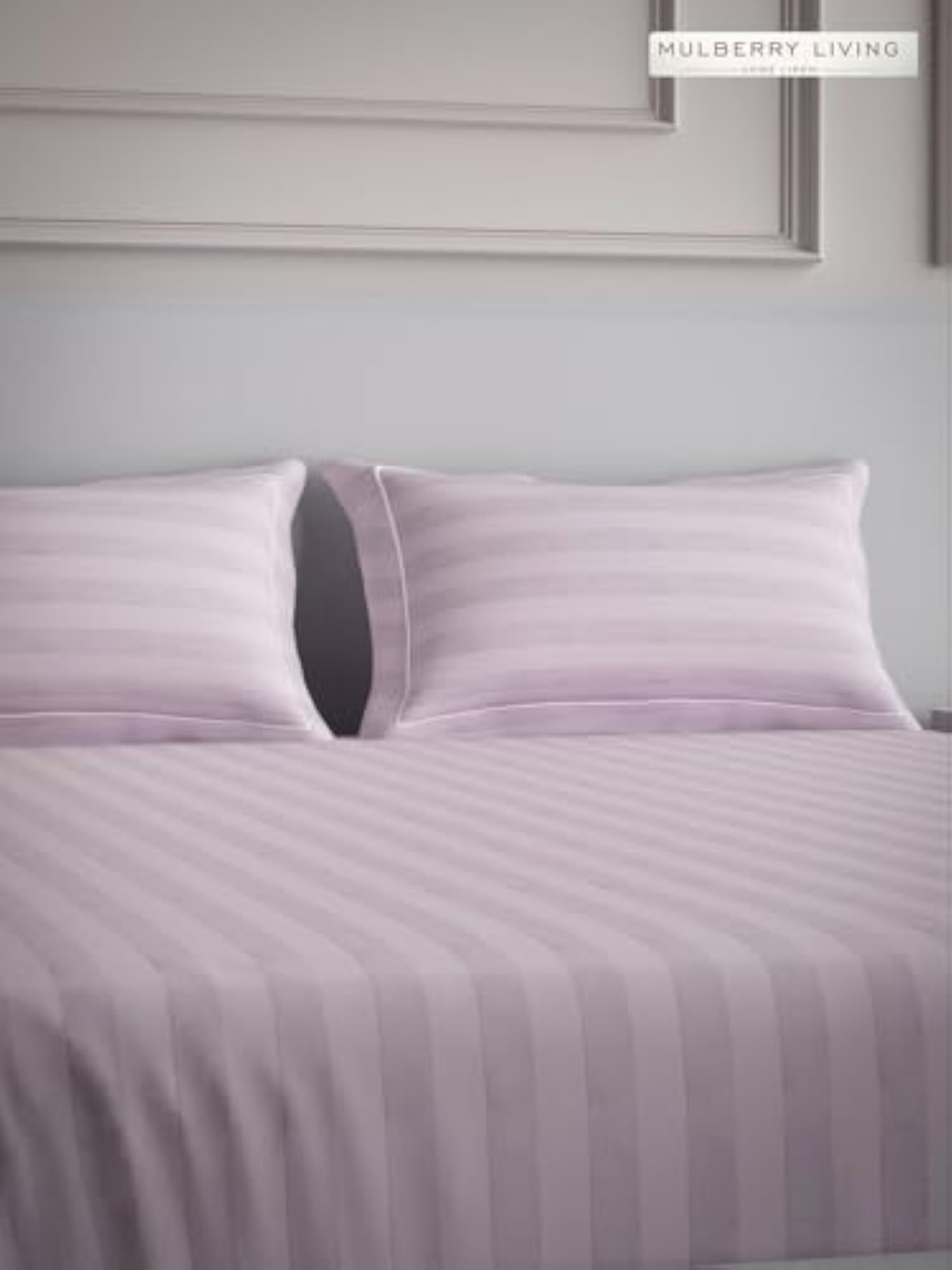 Elysian Stripes Queen Size 300TC Bedsheet, 100% Cotton