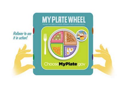 MyPlate Meal-Wheel - Image 2