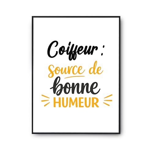 Poster Coiffeur citation humour - Embellissez votre salon avec cette décoration murale