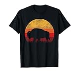 Vintage Yellowstone Bison