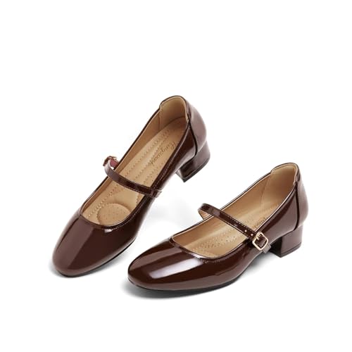 hingswink Mary Jane Shoes Women Low Heels Dress Shoes Pumps Low Heel 2 Inch Chunky Heel Mary Janes Pumps with Adjustable Ankle Strap for Women Dressy Casual, ShinnyBrown, Size10