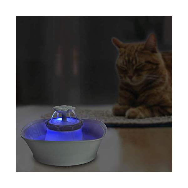 ipettie water fountain