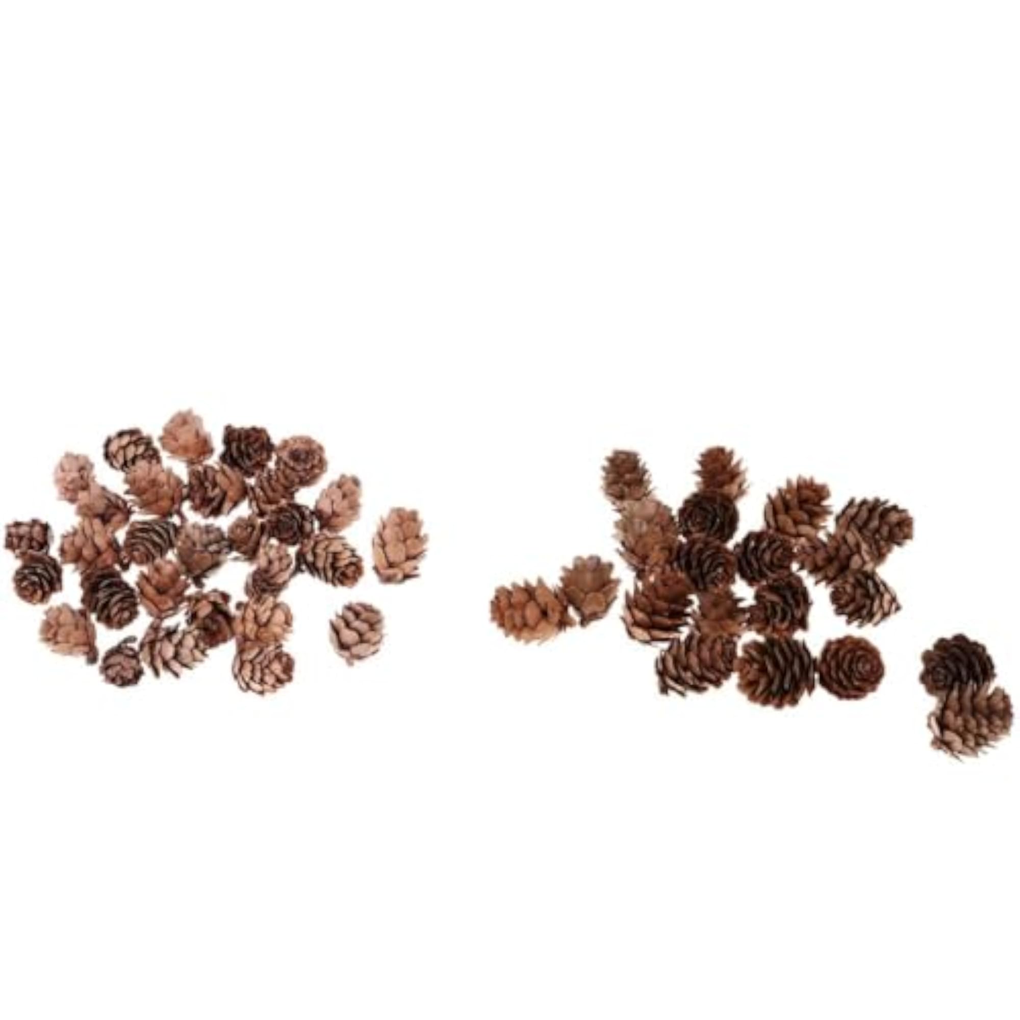 Big and Small Pine Cones Craft Set for DIY Projects