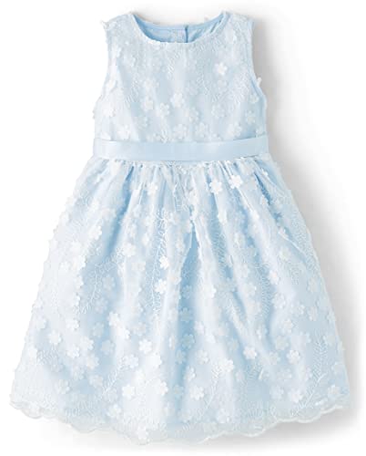 Gymboree,Girls,And Toddler Embroidered Sleeveless Dress,8,Baby Blue #TOP5