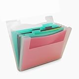 Craftelier - Akkordeonmappe für Papier, Kartonbögen und Scrapbooking-Materialien | Größe 33,6 x 33,3 x 3,5 cm (13.23" x 13.11" x 1.38") - Farbe Transparent und Türkis