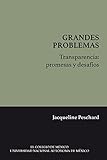  Transparencia: promesas y desafíos (Grandes problemas)