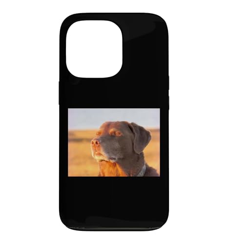 I'm Cooked Dog Funny Meme ���u���h�[�����g���o�[ �X�}�z�P�[�X iPhone 13 Pro �p