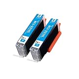 キヤノン互換インクカートリッジ331 330 XL Canon BCI-331XL Cシアン 2本パック 大容量 対応機種:PIXUS TS8530最新型ICチップ対応 残量表示あり