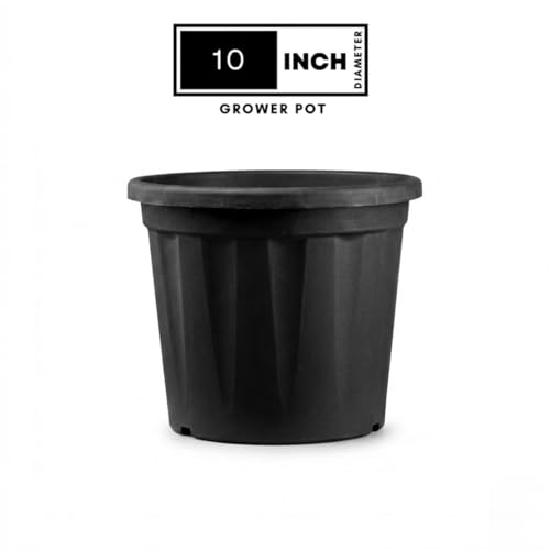 Image of 10 Inch Heavy Duty Plastic Planter | Grower Pot /Garden Pot for Home & Garden (Black) (Pack of 1)