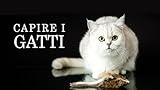 Zoom IMG-1 capire i gatti