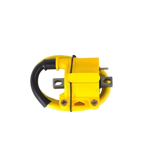 Bobine d'allumage et boîtier CDI D9RIV pour cyclomoteur et scooter 50cc - 2