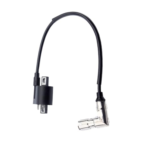 Bobina de encendido ATV compatible con repuestos de quad 200cc y 250cc 4