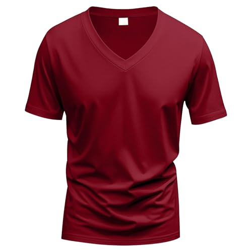 Men Trendy V-Neck Quick-Drying Shirt Breathable Casual Sports Pullover Top Summer Personality Short-Sleeved T-Shirt (Wine Red,X-Large)