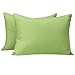 NTBAY Microfiber Toddler Pillowcases, 2 Pcs Zipper Closure Travel Pillow Covers, 13 x 18, Sage Green
