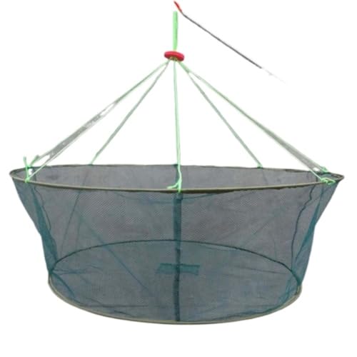 MLTUN MAKAN tBbVOXN[v VvP[W GrEJj  ^ P[W ނ y RpNg lbg tBbVOMA (a200cm a150cm) [sAi]