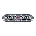 shadow-caster SCM-10 LED Underwater Light, Cool Red, 316 Stainless w/20