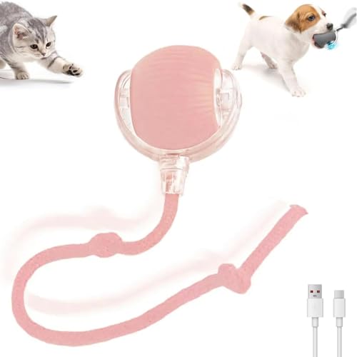 C^NeBu X}[gLbg{[A {[  Ad  `[C[OLp AUSB [dt 360 x]Aybg{[ ^s XgX (sN)