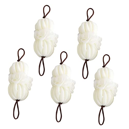 ADOCARN 5oXpw`}X|W t[oX{[ V[pX|Wpt ypPA [\