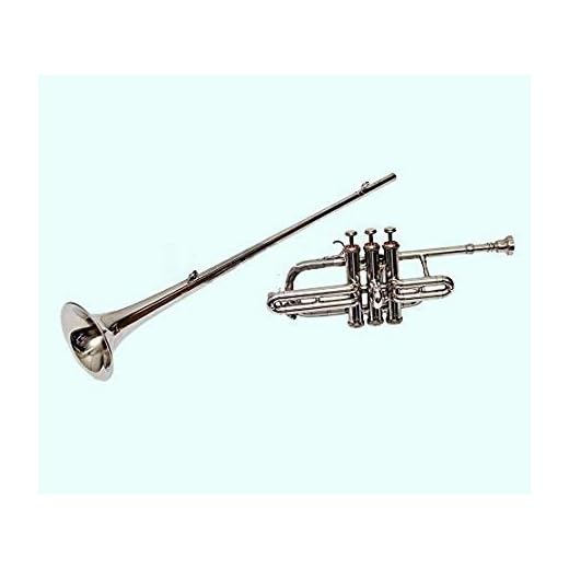 Brass Flag Trumpet Nice Finish Bb Pitch Along With Mouthpeice Musical Item Shry016