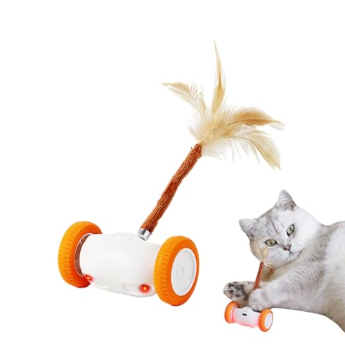 Plush Toys Generico jeu autonome enrichissement stimulation exercice chatons mouvement automatique