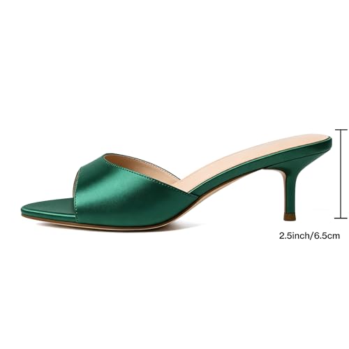 Image of Mostrin Kitten Heels for Women Pointed Toe Vintage Mules Heels Sexy Slip on Stiletto Backless Sandals for Party Wedding Daily