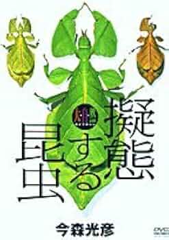 ＤＶＤ＞擬態する昆虫 ［大自然ライブラリー］/小学館/今森光彦（単行本） 31OqWWPyQhL._UF350,350_QL50_.jpg