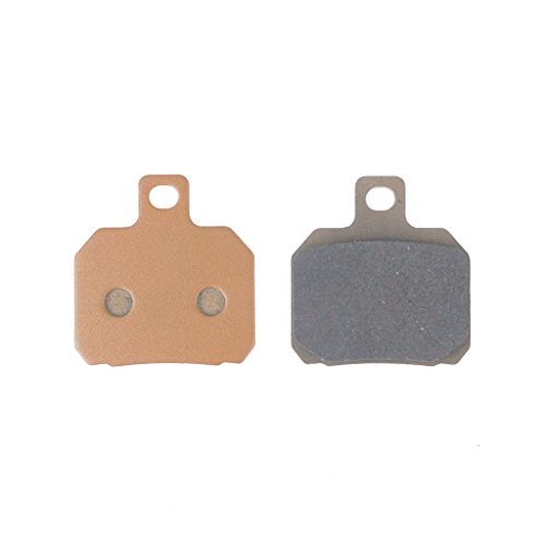 Wotefusi Paire de Disque de Frein, Plaquette de Frein Avant pour Aprilia RS50 Rear Brake Pads for Aprilia SL RSV ETV 1000 Tuono RSV4 Ducati 620 696 Monster 750 848 1098 Cover