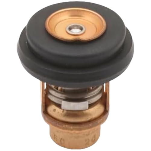 Termostato Fueraborda Para Motores Marinos De 3hp A 225hp Compatible Con Varias Piezas De Repuesto, Incluyendo La Serie 6e51241100
