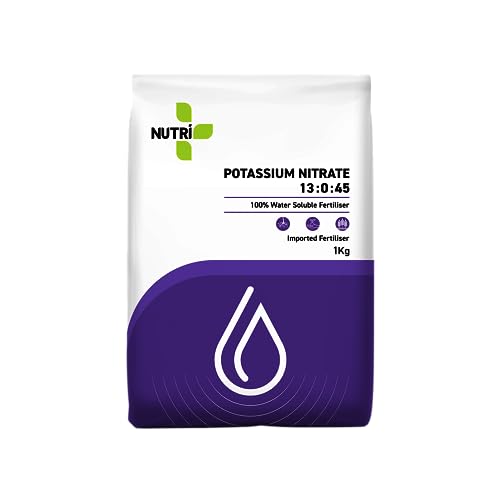 Image of Water Soluble Fertilizer KNO3 13:00:45 1KG