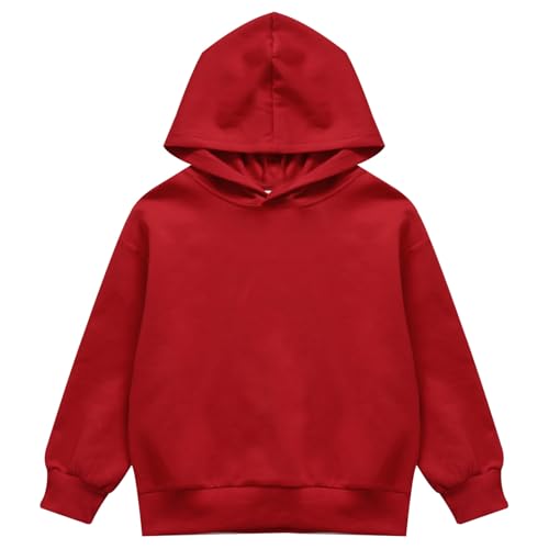 Boys and Toddlers' Pullover Hoodie Solid Color Hooded Sweatshirt Long Sleeve Casual Tops2