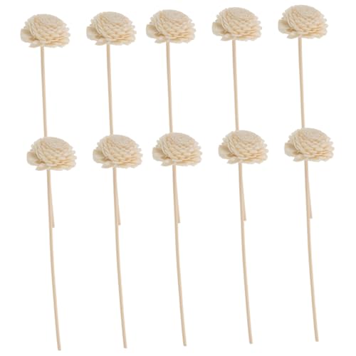 Healifty Bâtonnets diffuseur Parfum avec Fleurs de rotin décoratives: Tiges de rotin pour Parfum d'ambiance Maison et Recharge diffuseur - Lot de 10, 22cm