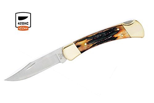 Buck Knives 110 Genuine Amber Stag Folding Hunter Knife Exclusive 110STSSH1