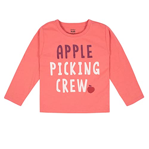 Gerber Baby Girls' Toddler 2-Piece Long-Sleeve Tee & Pleated Skirt Set2