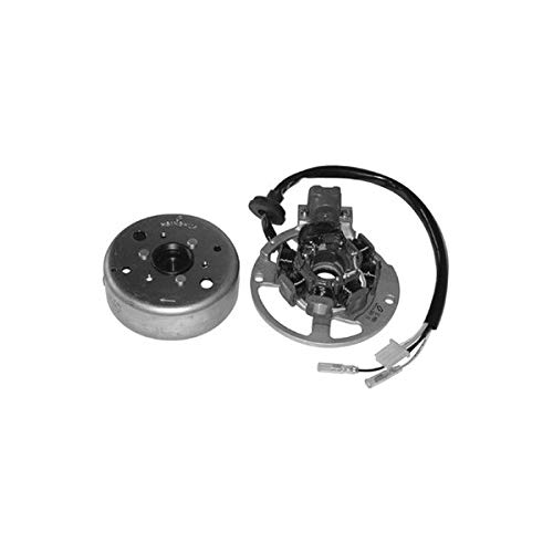 VOLANO COMPLETO Booster 50 1990-1995 Flipper 50 1998-2002 Forte 50 1994-1996 Nitro 50 1997-2000 Ovetto 50 1997-2000