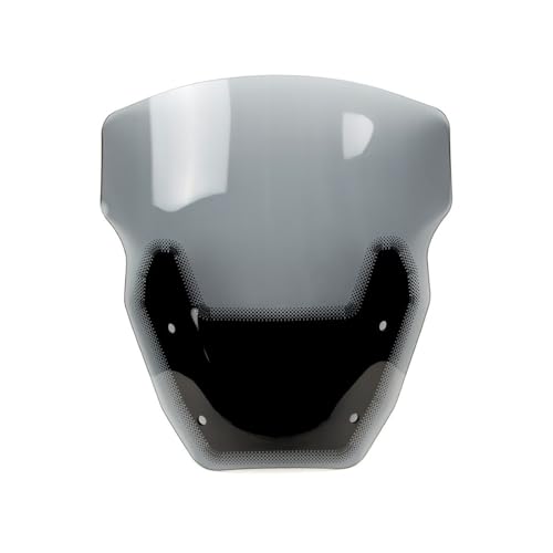 Bulle R1300GS carénage déflecteur de vent finition premium pour moto de route 2024