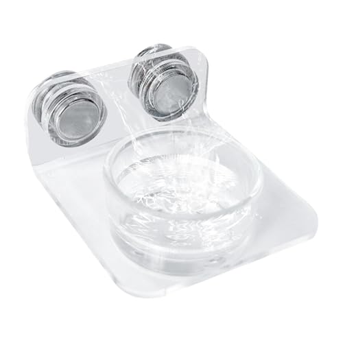 Comida Tortugas Terrestres Komodo Marca kinrguiyuez