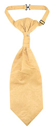 Image of Vesuvio Napoli PreTied ASCOT Solid PAISLEY Color Cravat Men's Neck Tie 21 Colors