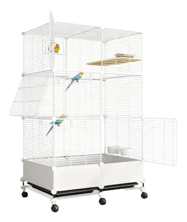 LAJOKINGybgB| 3w̓IEP[WA؂ȃvo[hP[WfUCAhHEhHÃPASňSɂ܂ ()