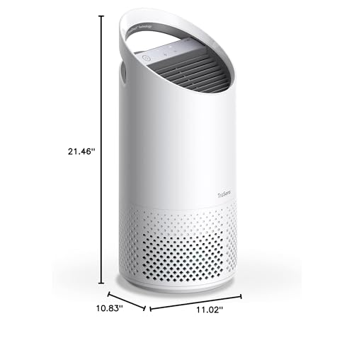 Small Room Air Purifier